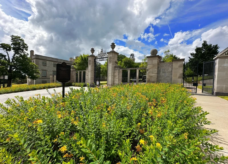 U-OF-ARKANSAS-MEDICAL-SCIENCES
