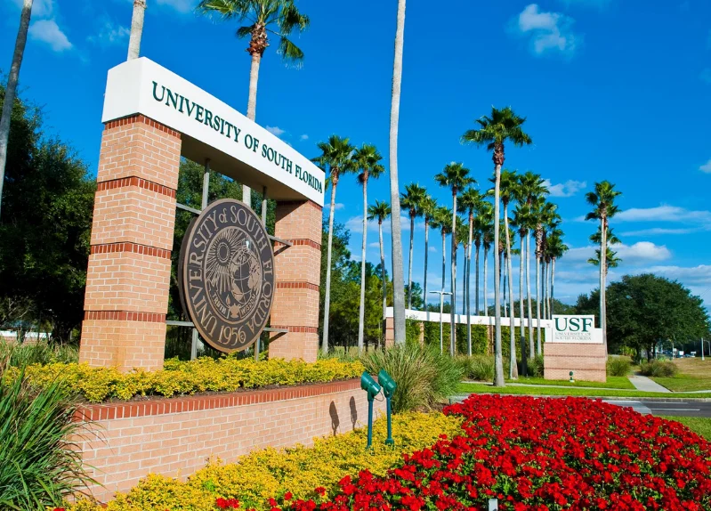 U-OF-SOUTH-FLORIDA