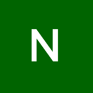 Profile photo of Nancy Ashour